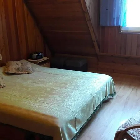 Letniskowy U Basi Holiday home *