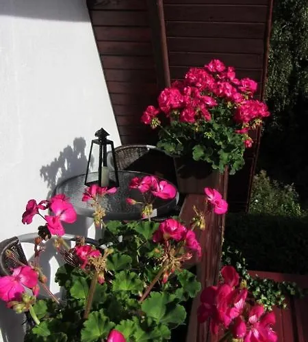 Letniskowy U Basi Dom wakacyjny